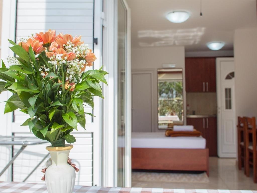 Guest House 4M Petrovac 客房 照片
