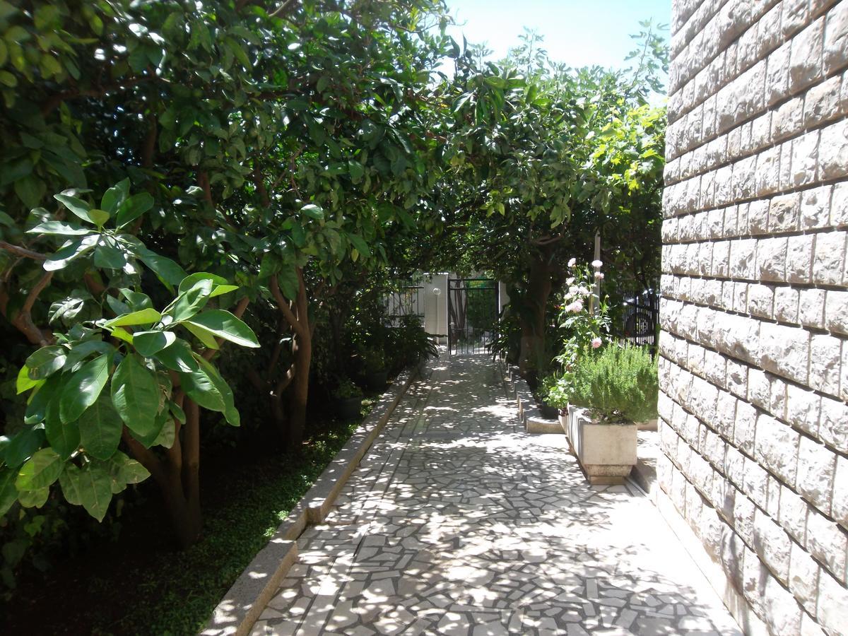 Guest House 4M Petrovac 外观 照片