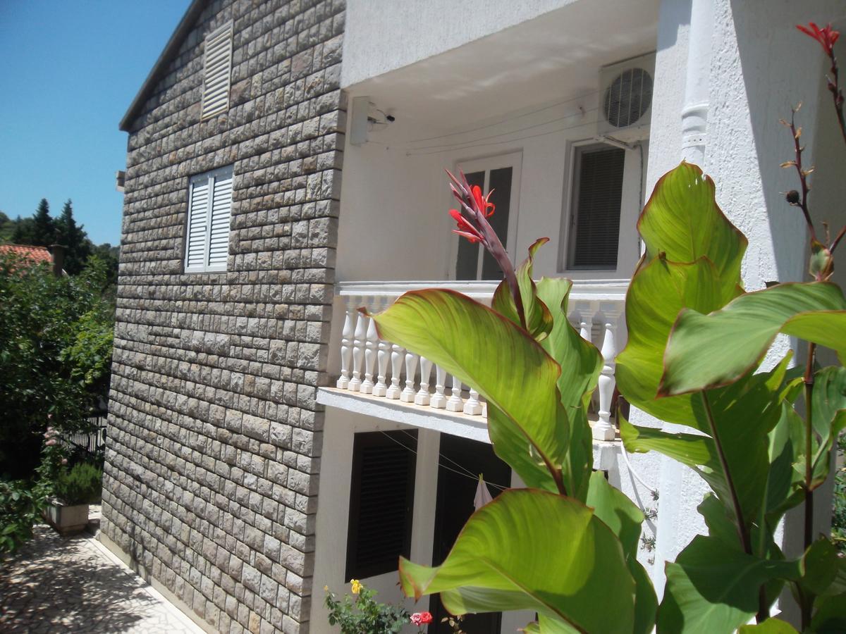 Guest House 4M Petrovac 外观 照片